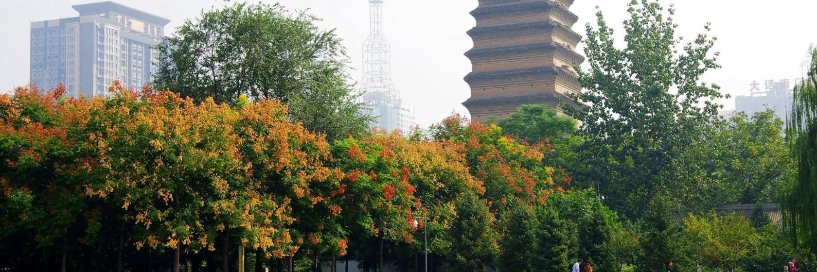 Small Wild Goose Pagoda